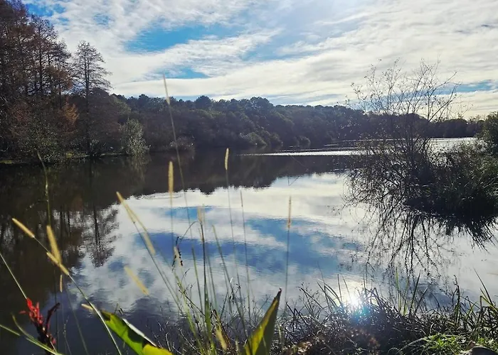 Apartment T2 Avec Terrasse