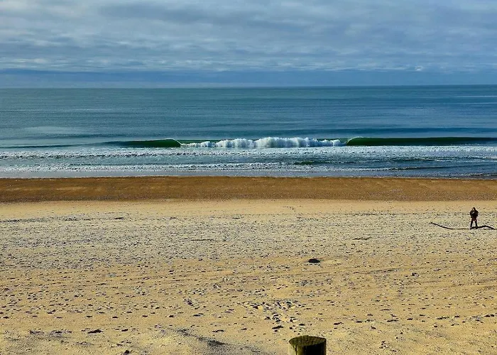 T2 Avec Terrasse 公寓