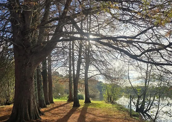 T2 Avec Terrasse 公寓 *