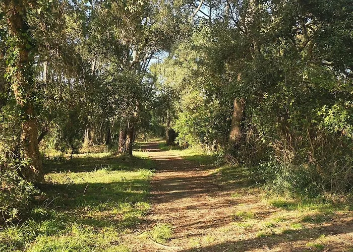 T2 Avec Terrasse 公寓 昂德雷斯