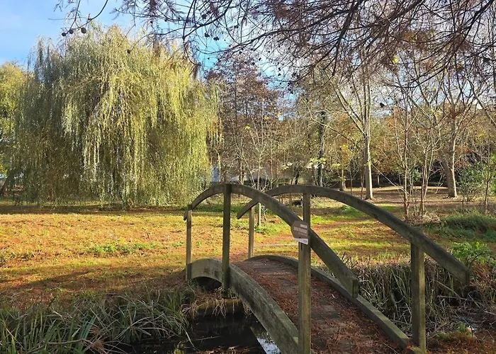 公寓 T2 Avec Terrasse 昂德雷斯